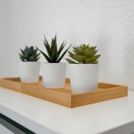 Apartment Entspanntes Wohnen In Dueren Düren - Eifel